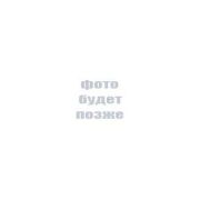 Реле РПГ4-3102-24В