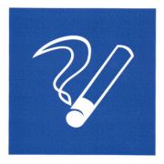 Информационный знак Место курения ПВХ 200х200
